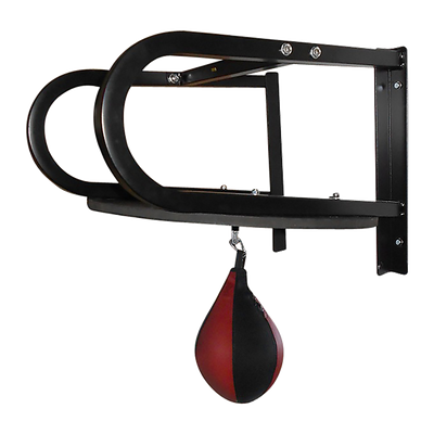 Speedball with Wall Frame Boxing Punching Bag